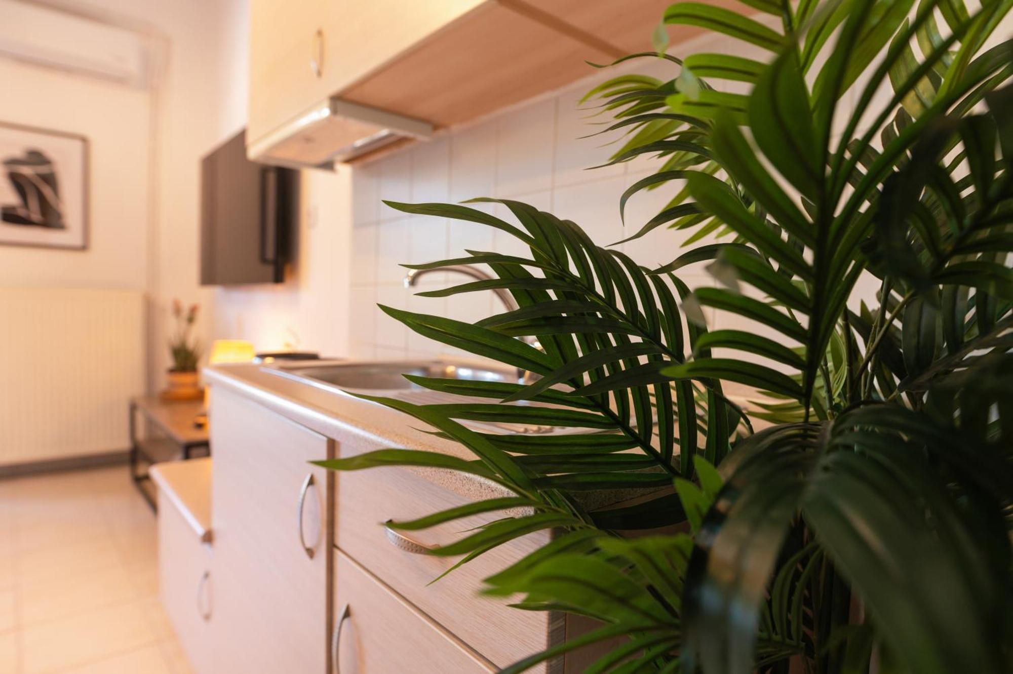 Gardens Of Babylon Suite By Heaven'S Hall Luxury Suites Alexandroúpoli Extérieur photo